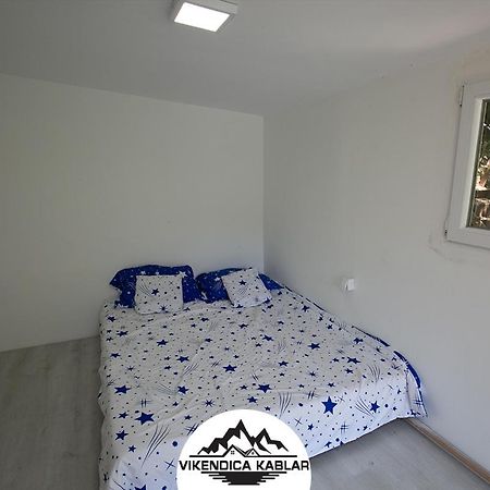 Ovcarkablar Vikendice Villa Meduvrsje Kültér fotó